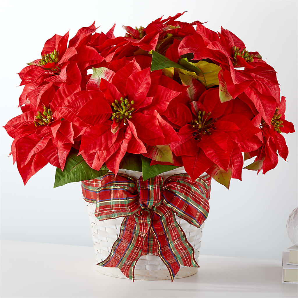Happiest Holidays Poinsettia – Central Market Florist #138, Latham NY