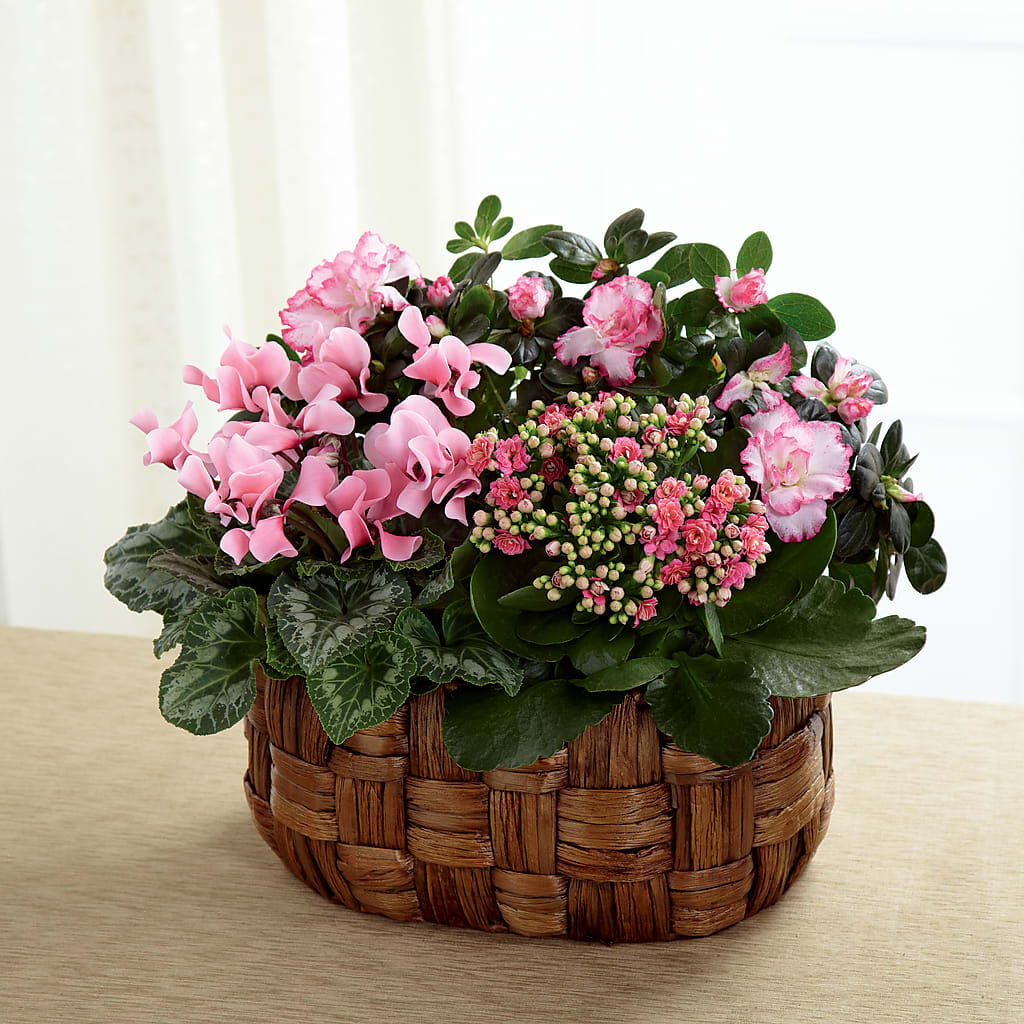 Pink Assortment – Central Market Florist #138, Latham NY