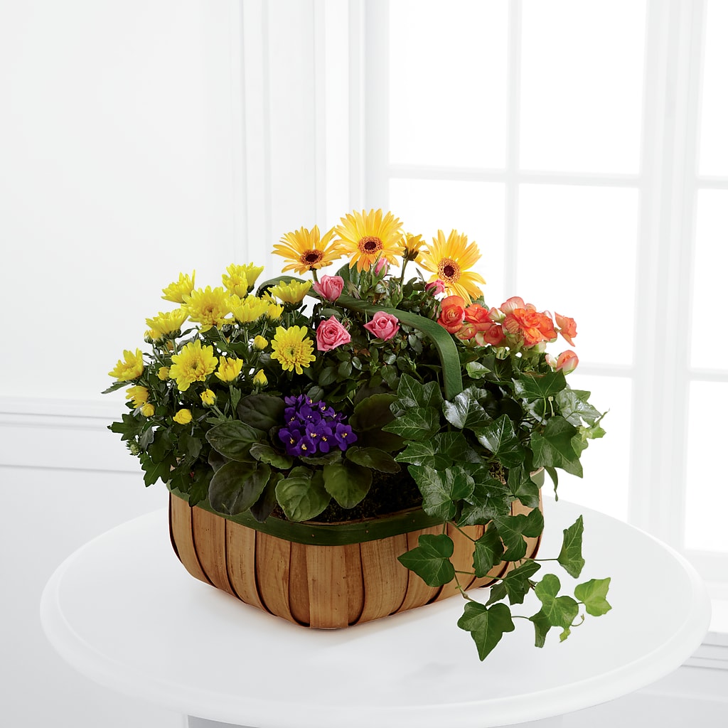 Gentle Blossoms Basket – Central Market Florist #138, Latham NY