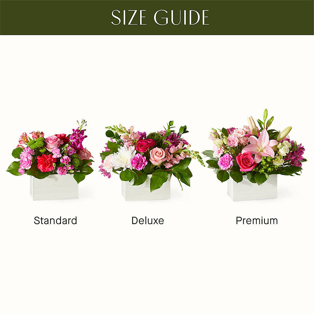 Sweetberry Box – A Florist Original – Central Market Florist #138, Latham NY