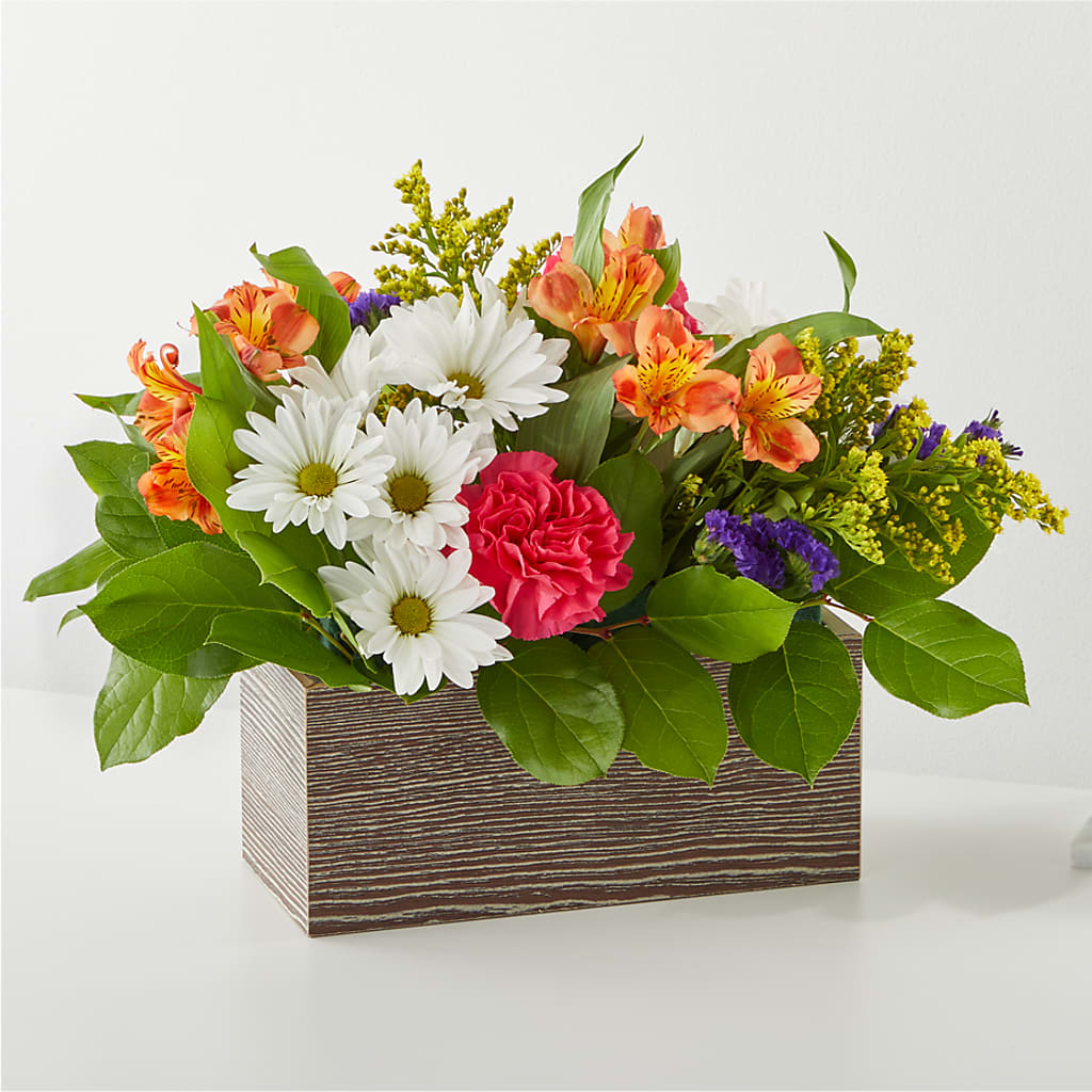 Oopsie Daisy Box Bouquet – Central Market Florist #138, Latham NY