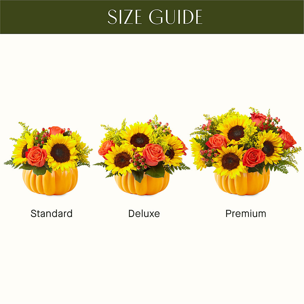 Pick of the Patch Pumpkin Bouquet – Central Market Florist #138, Latham NY