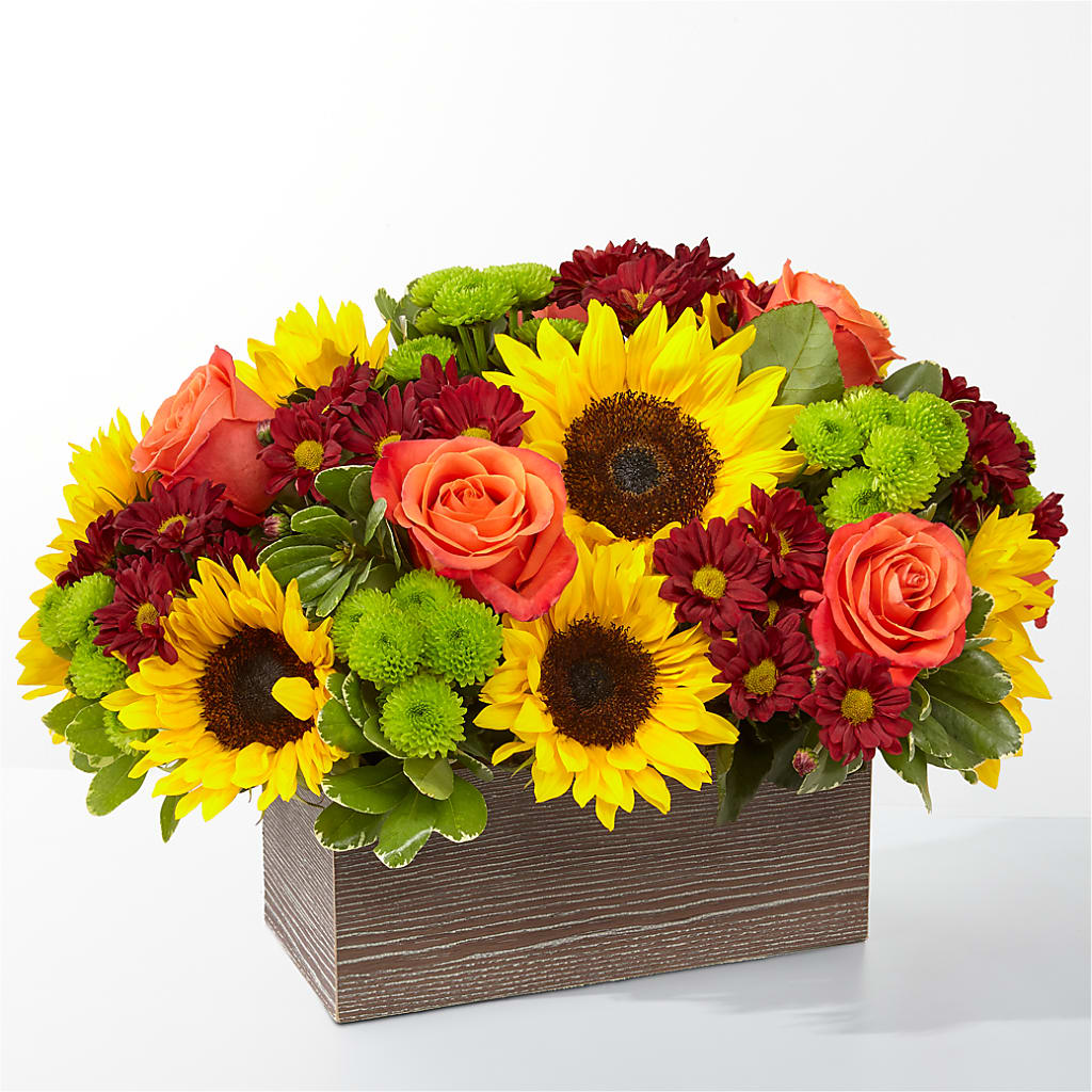 Happy Harvest Garden – Central Market Florist #138, Latham NY
