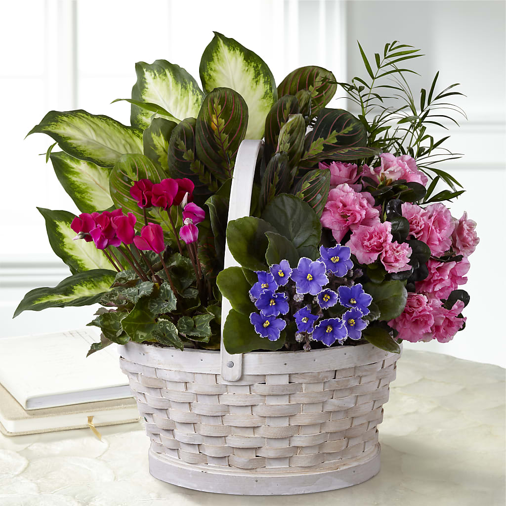 Peaceful Garden Planter – Central Market Florist #138, Latham NY