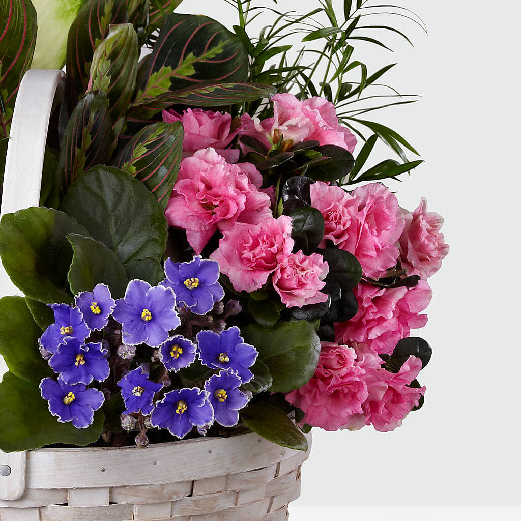 Peaceful Garden Planter – Central Market Florist #138, Latham NY