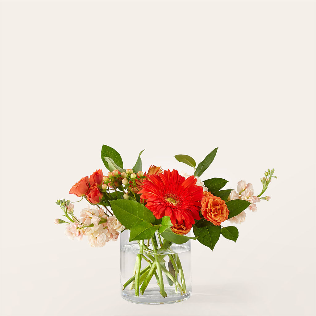 Paloma Please Bouquet – Central Market Florist #138, Latham NY