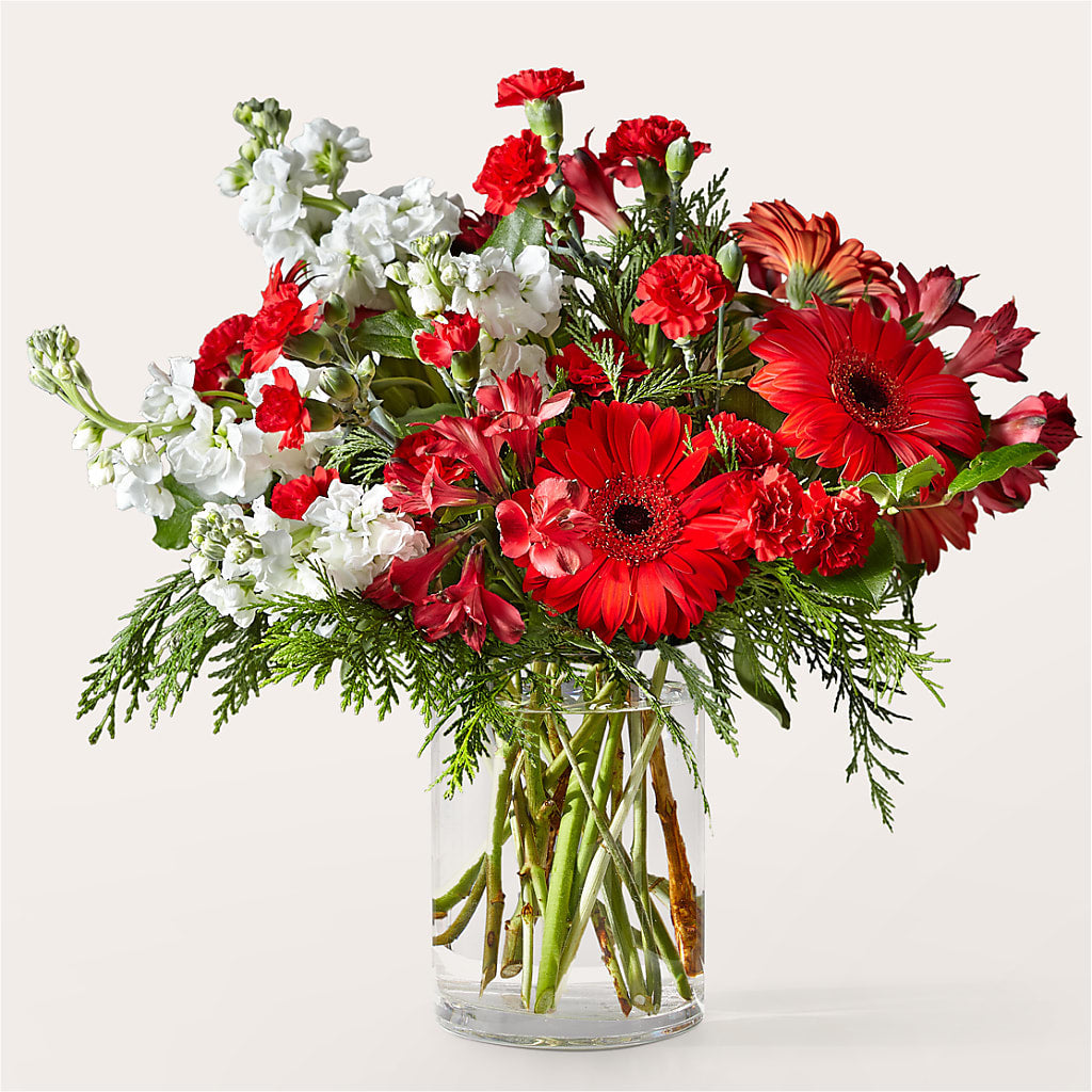 Holidaisy Bouquet – Central Market Florist #138, Latham NY