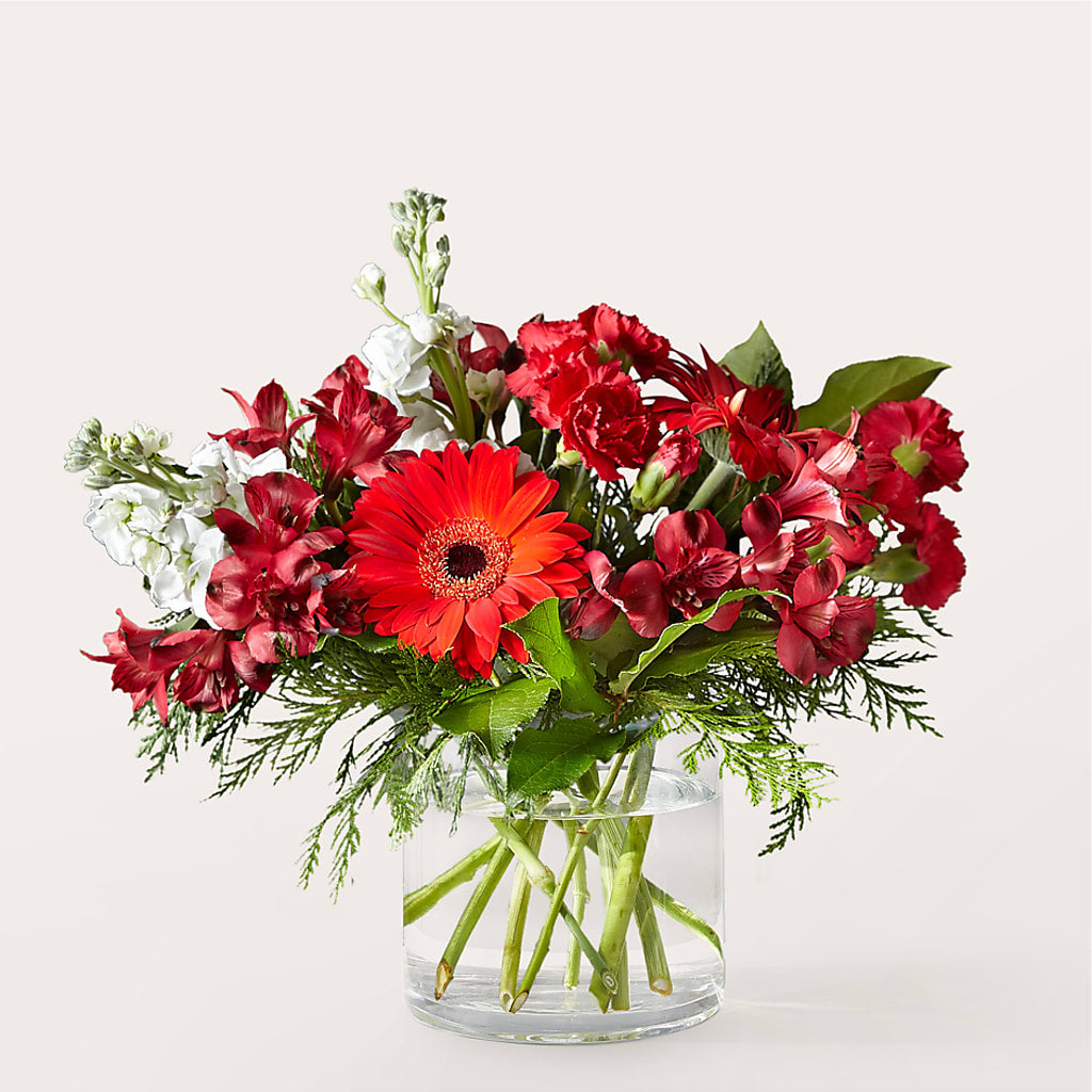 Holidaisy Bouquet – Central Market Florist #138, Latham NY