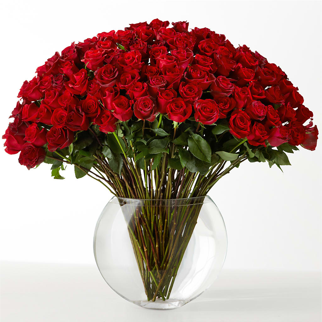 The Idealist – Central Market Florist #138, Latham NY