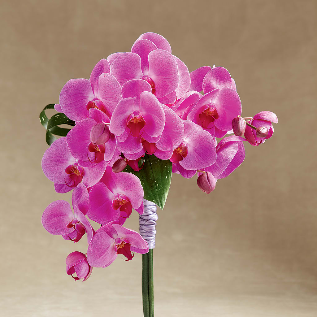 Glorious Bouquet – Central Market Florist #138, Latham NY