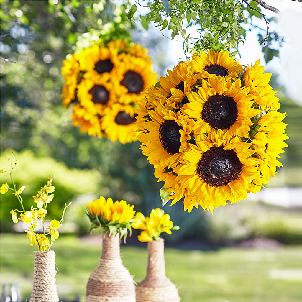 Sublime Garden Hanging Arrangement – Central Market Florist #138, Latham NY