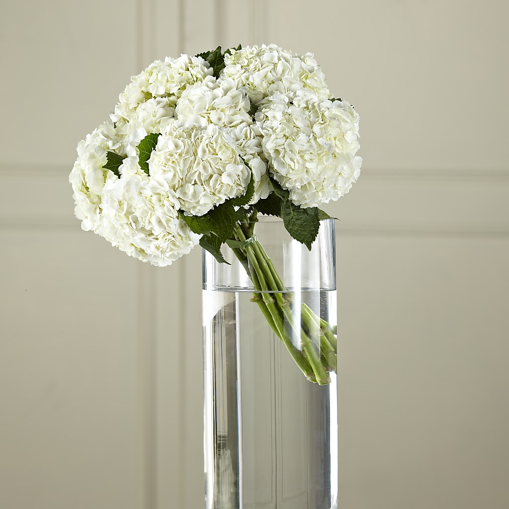 White Hydrangea Hand-Tied Bouquet – Central Market Florist #138, Latham NY
