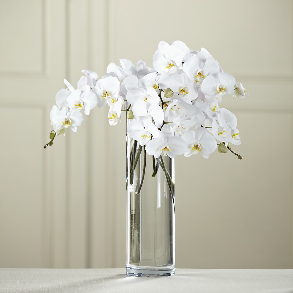White Phalaenopsis Bouquet – Central Market Florist #138, Latham NY