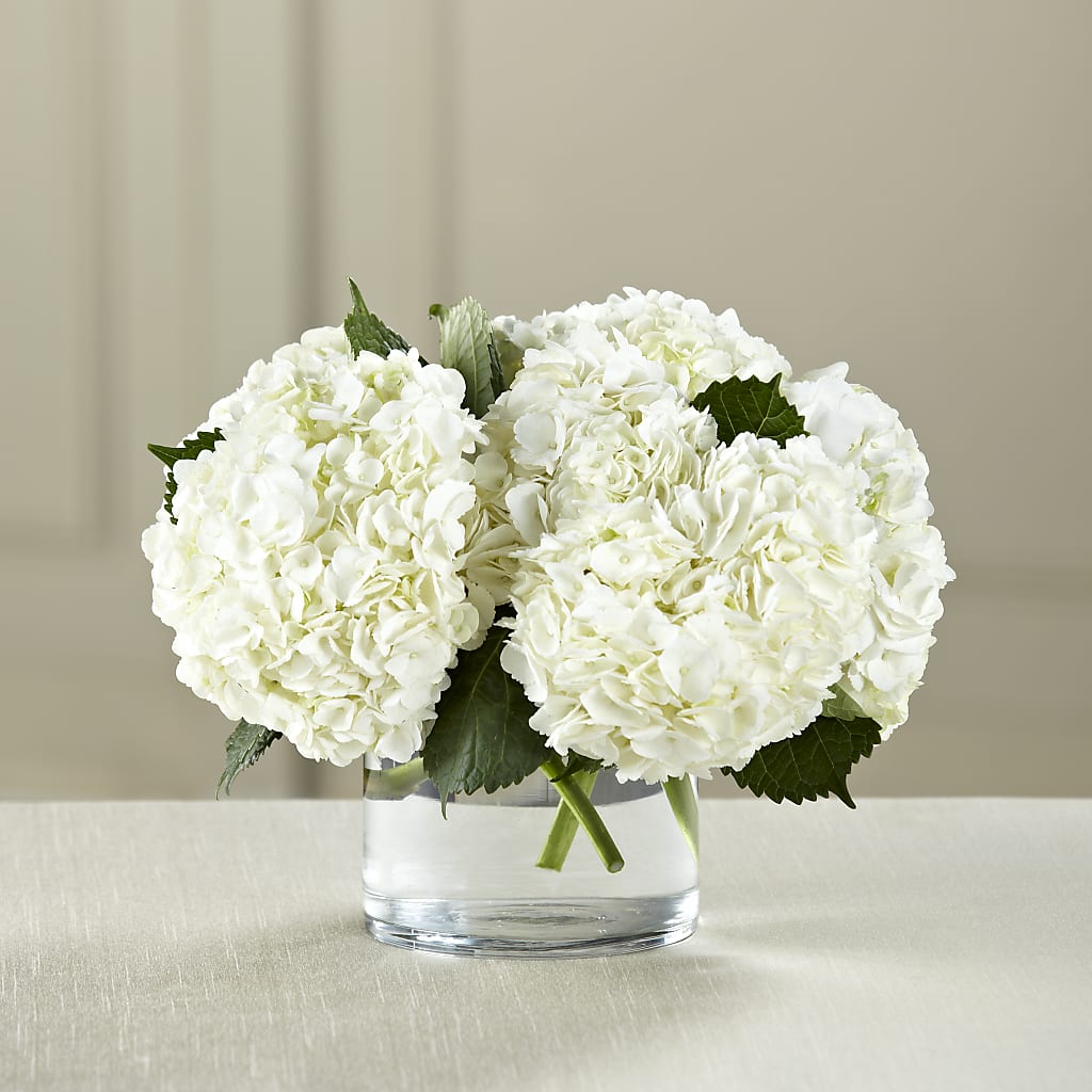 White Hydrangea Bouquet – Central Market Florist #138, Latham NY