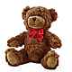 Adorable Plush Bear –  Central Market Florist #138, Latham NY