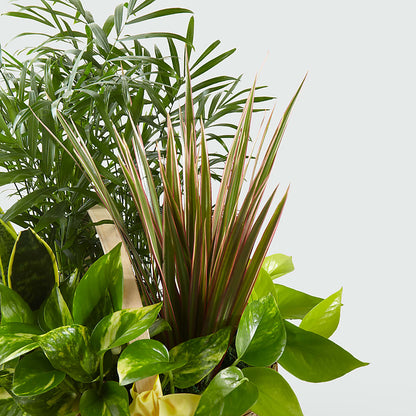 French Garden –  Central Market Florist #138, Latham NY