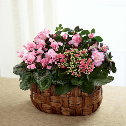 Pink Assortment –  Central Market Florist #138, Latham NY