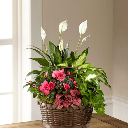 Dream in Pink Dishgarden –  Central Market Florist #138, Latham NY