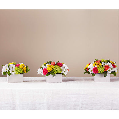 Sorbet Bouquet –  Central Market Florist #138, Latham NY