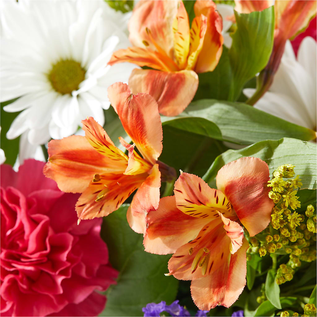 Oopsie Daisy Box Bouquet –  Central Market Florist #138, Latham NY