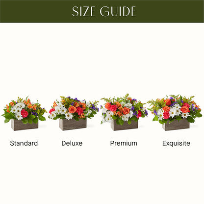Oopsie Daisy Box Bouquet –  Central Market Florist #138, Latham NY