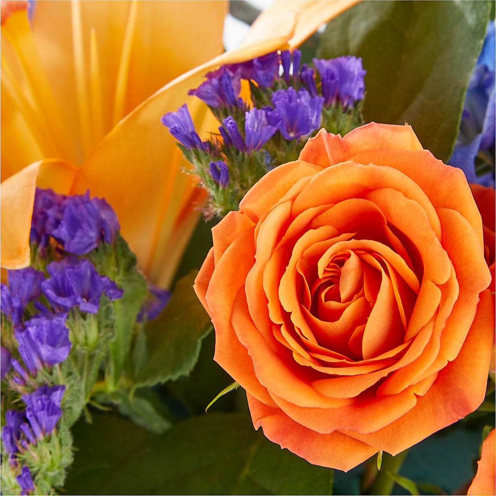 Radiant Citrus Box Bouquet –  Central Market Florist #138, Latham NY