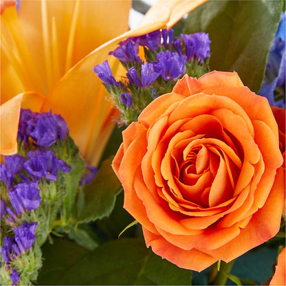 Radiant Citrus Box Bouquet –  Central Market Florist #138, Latham NY