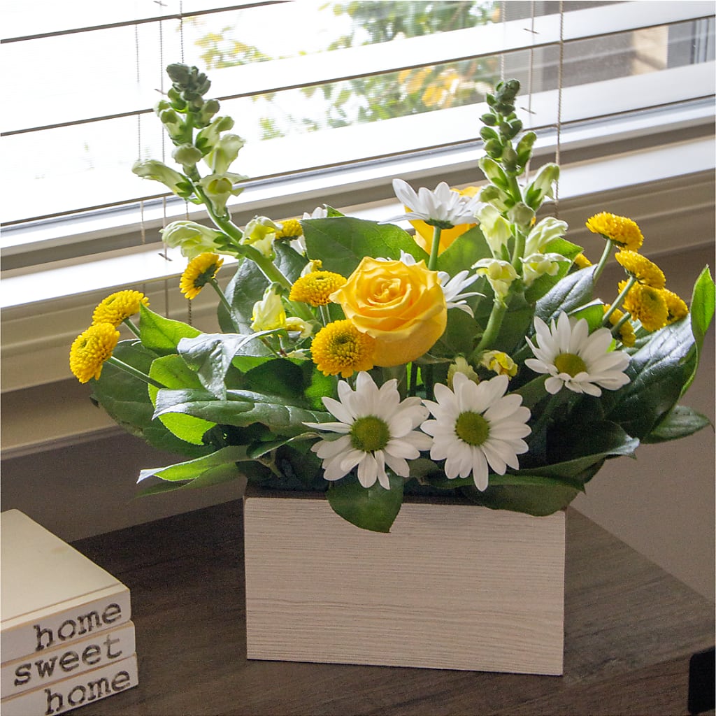 Sun Salutation Box Bouquet –  Central Market Florist #138, Latham NY