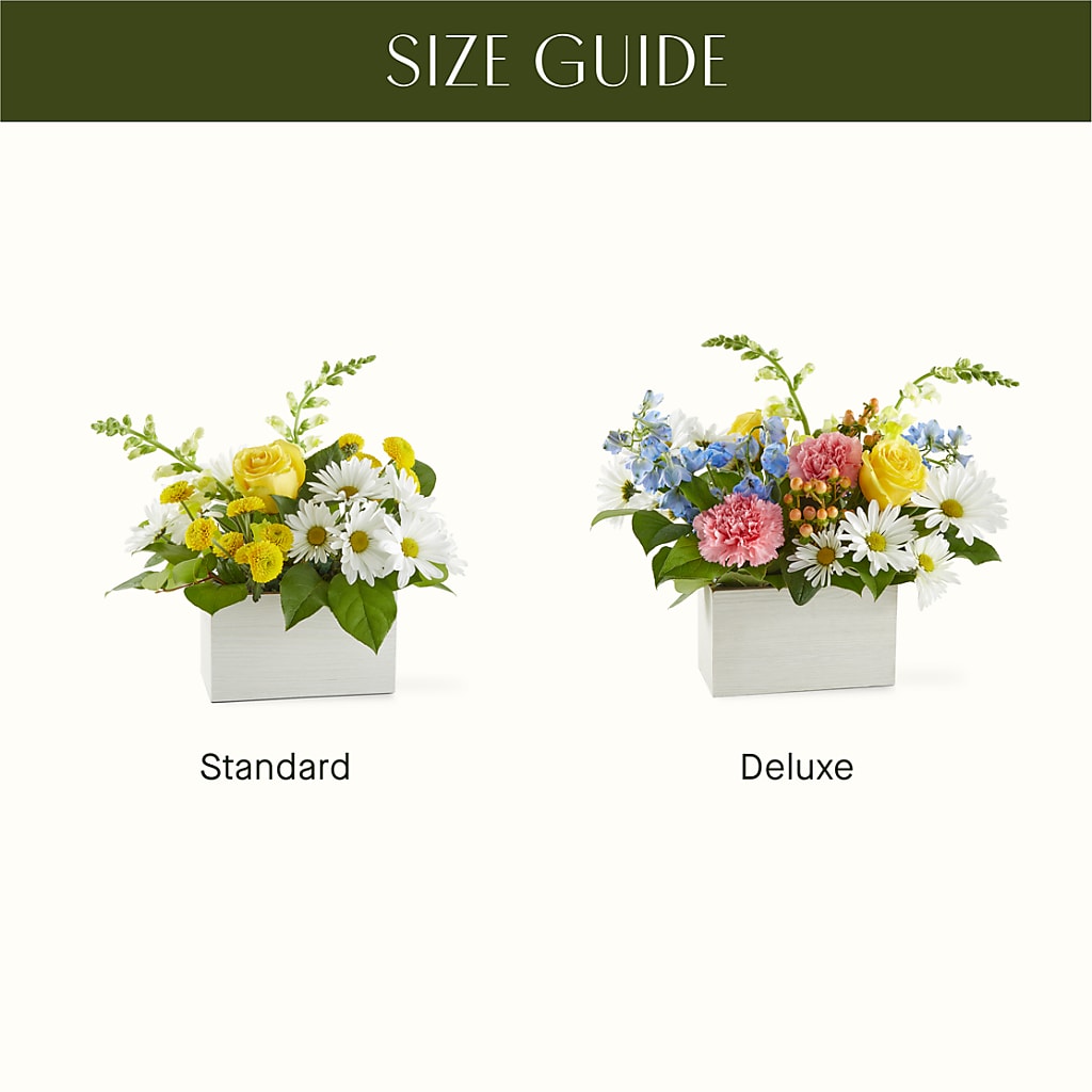 Sun Salutation Box Bouquet –  Central Market Florist #138, Latham NY