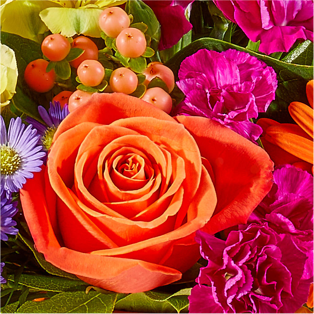 Tricks & Treats Pumpkin –  Central Market Florist #138, Latham NY