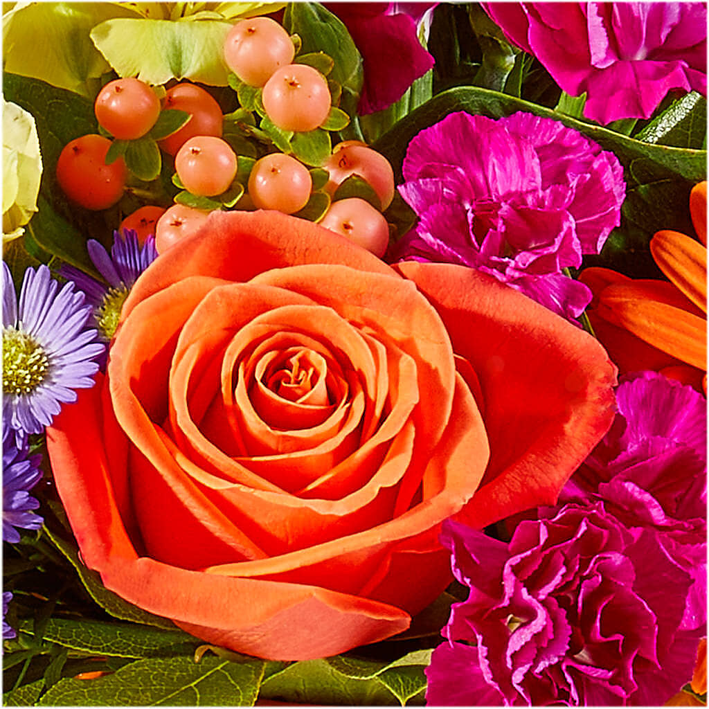 Tricks & Treats Pumpkin –  Central Market Florist #138, Latham NY