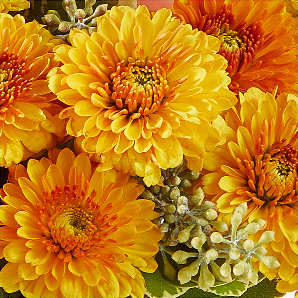 Peachy Pumpkin –  Central Market Florist #138, Latham NY