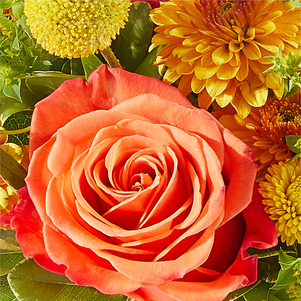 Gourdgeous Pumpkin –  Central Market Florist #138, Latham NY