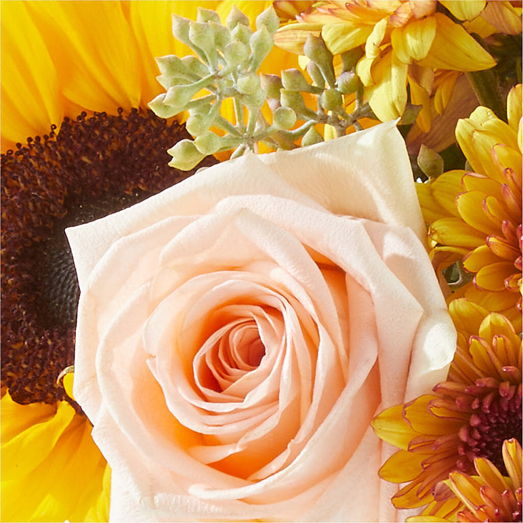 Pumpkin to Talk About Bouquet –  Central Market Florist #138, Latham NY