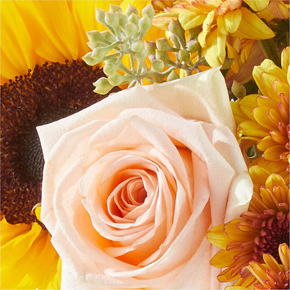 Pumpkin to Talk About Bouquet –  Central Market Florist #138, Latham NY