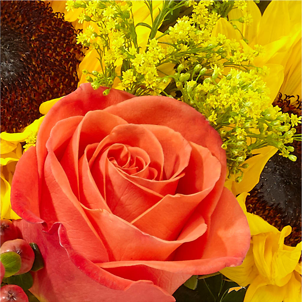 Pick of the Patch Pumpkin Bouquet –  Central Market Florist #138, Latham NY