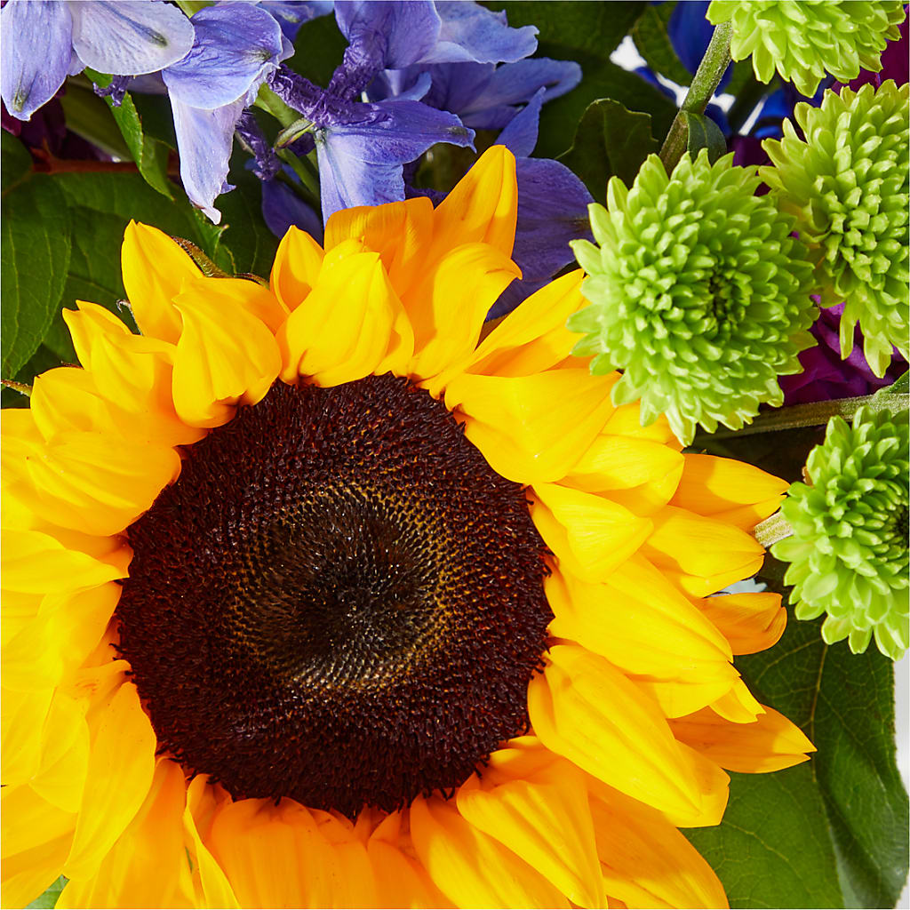 Catching Rays Bouquet –  Central Market Florist #138, Latham NY