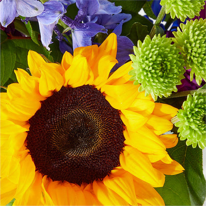 Catching Rays Bouquet –  Central Market Florist #138, Latham NY