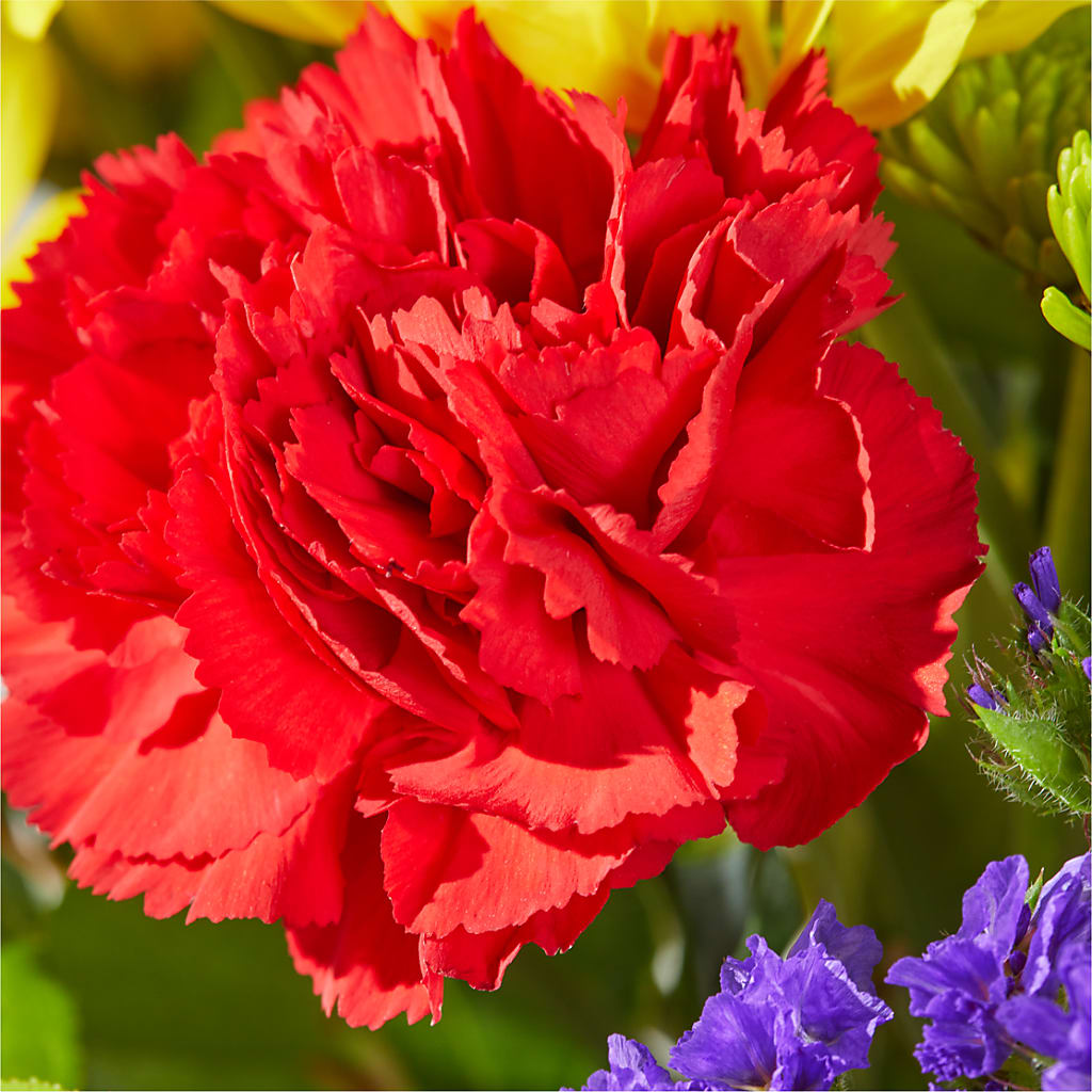 Brighter Days Bouquet –  Central Market Florist #138, Latham NY