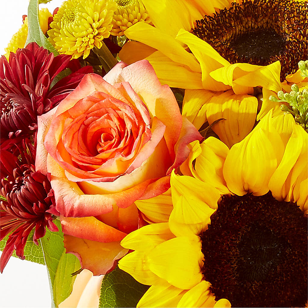 Golden Gourd Pumpkin Bouquet –  Central Market Florist #138, Latham NY