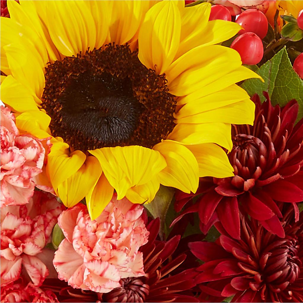 Fresh Cider Bouquet –  Central Market Florist #138, Latham NY