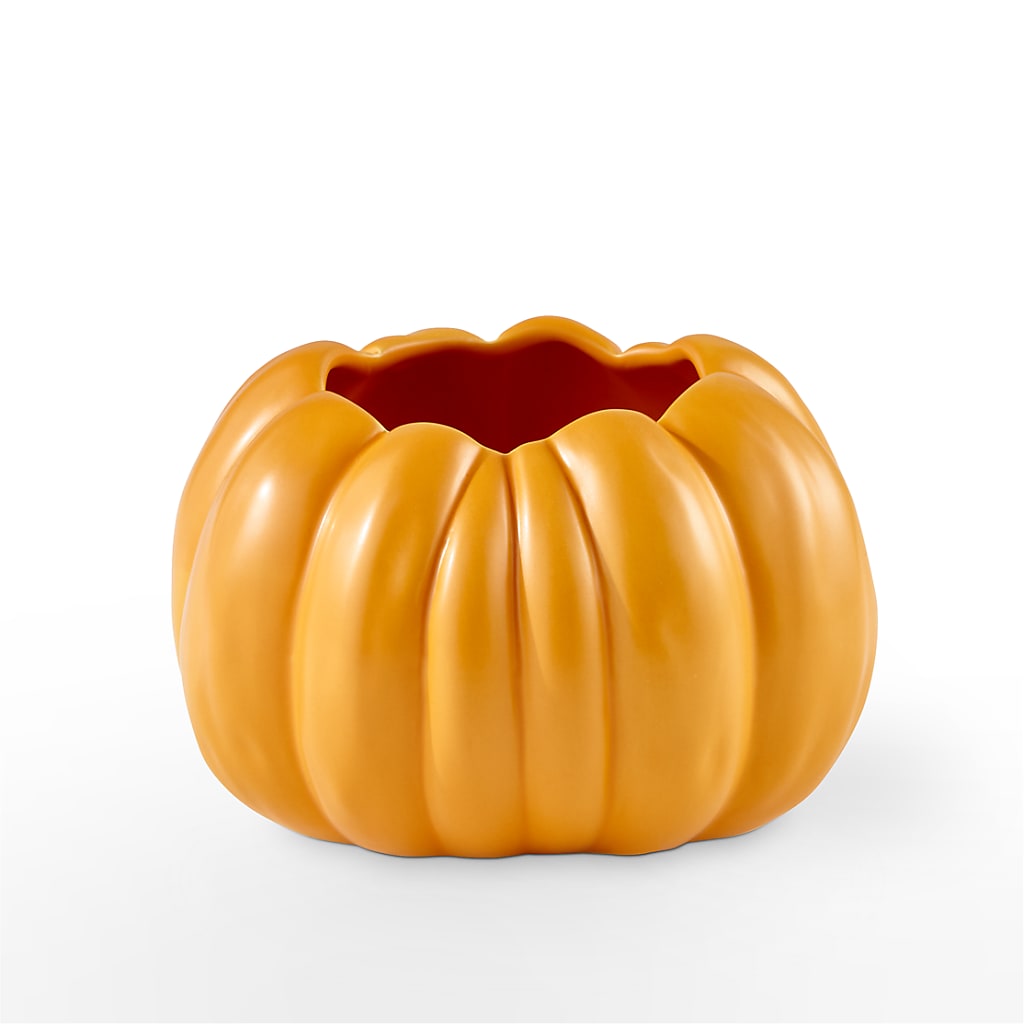Pick of the Patch Pumpkin Bouquet –  Central Market Florist #138, Latham NY