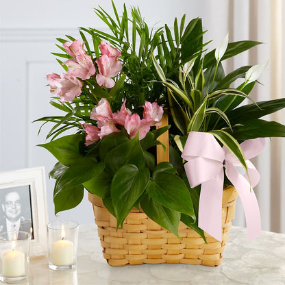 Living Spirit Dishgarden –  Central Market Florist #138, Latham NY