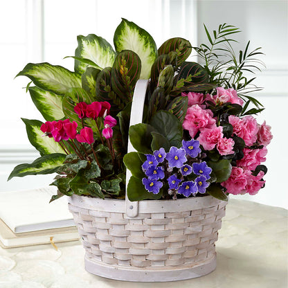 Peaceful Garden Planter –  Central Market Florist #138, Latham NY