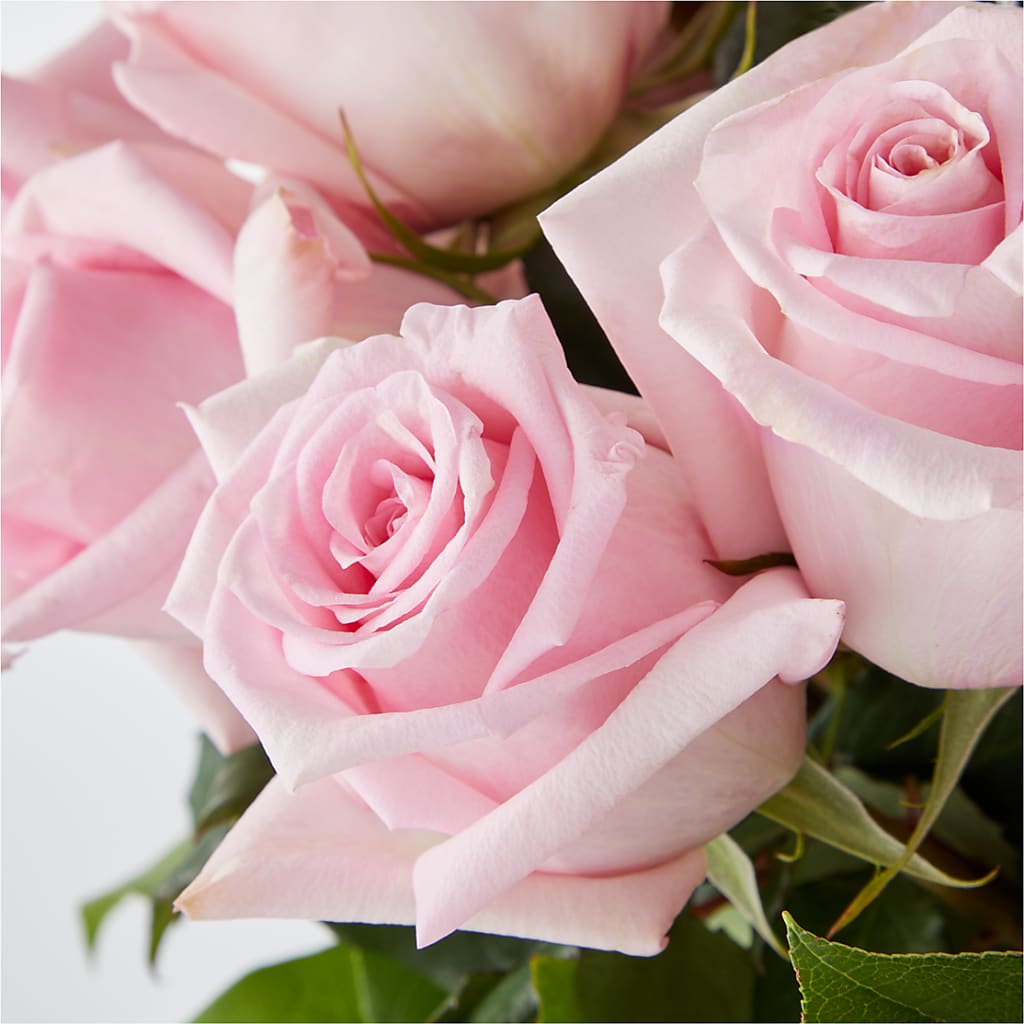 Picture Perfect Pink Rose Bouquet –  Central Market Florist #138, Latham NY