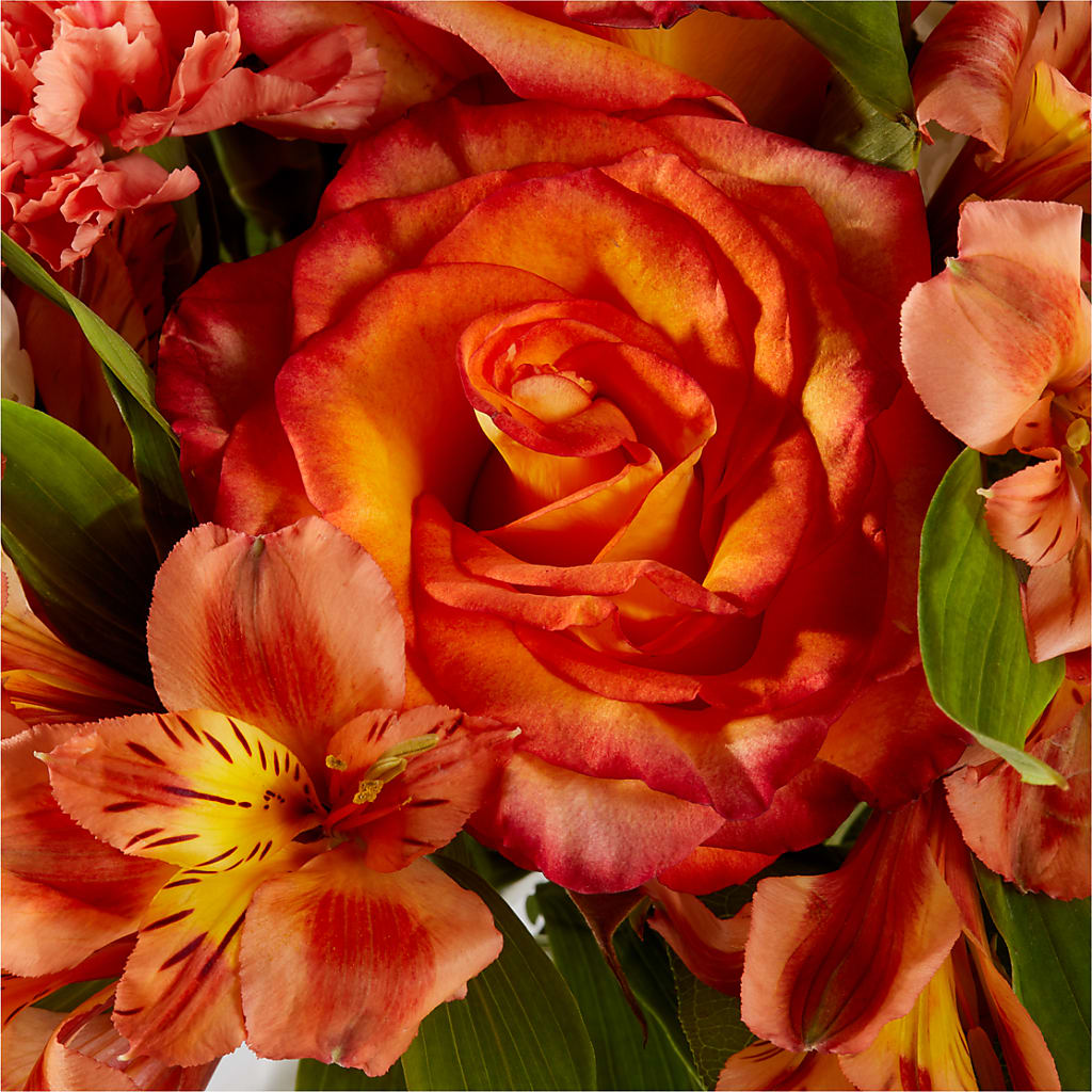 Apricot Glow Bouquet –  Central Market Florist #138, Latham NY