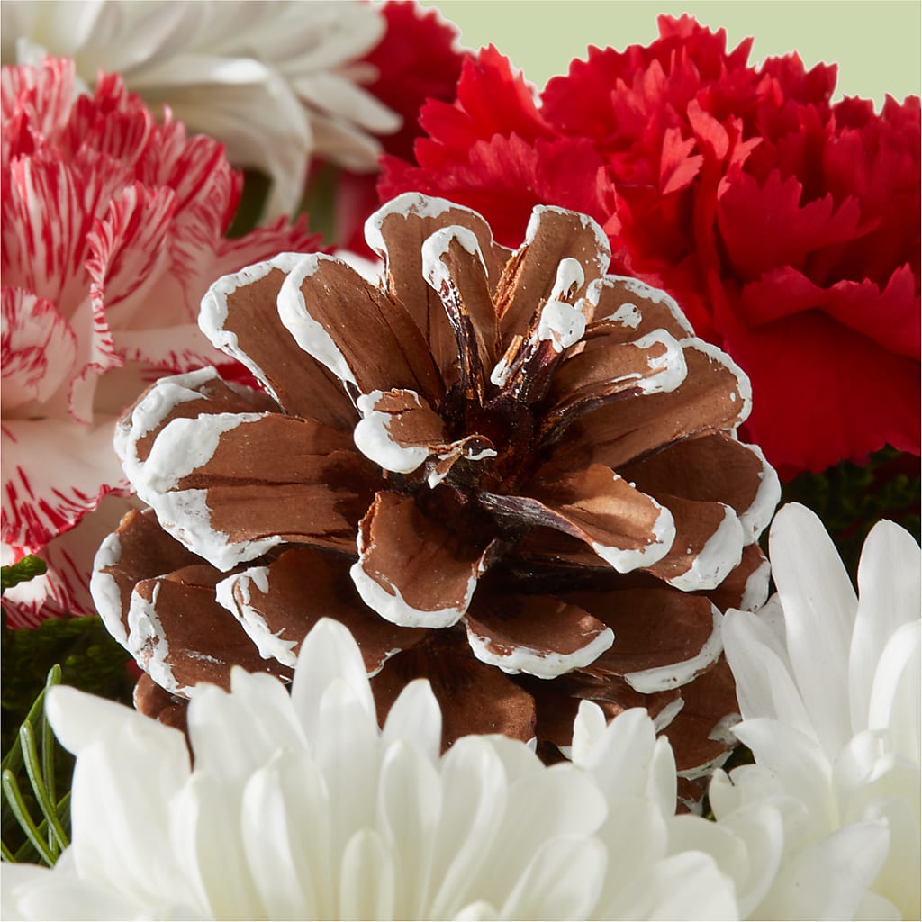 Candy Cane Lane Bouquet –  Central Market Florist #138, Latham NY
