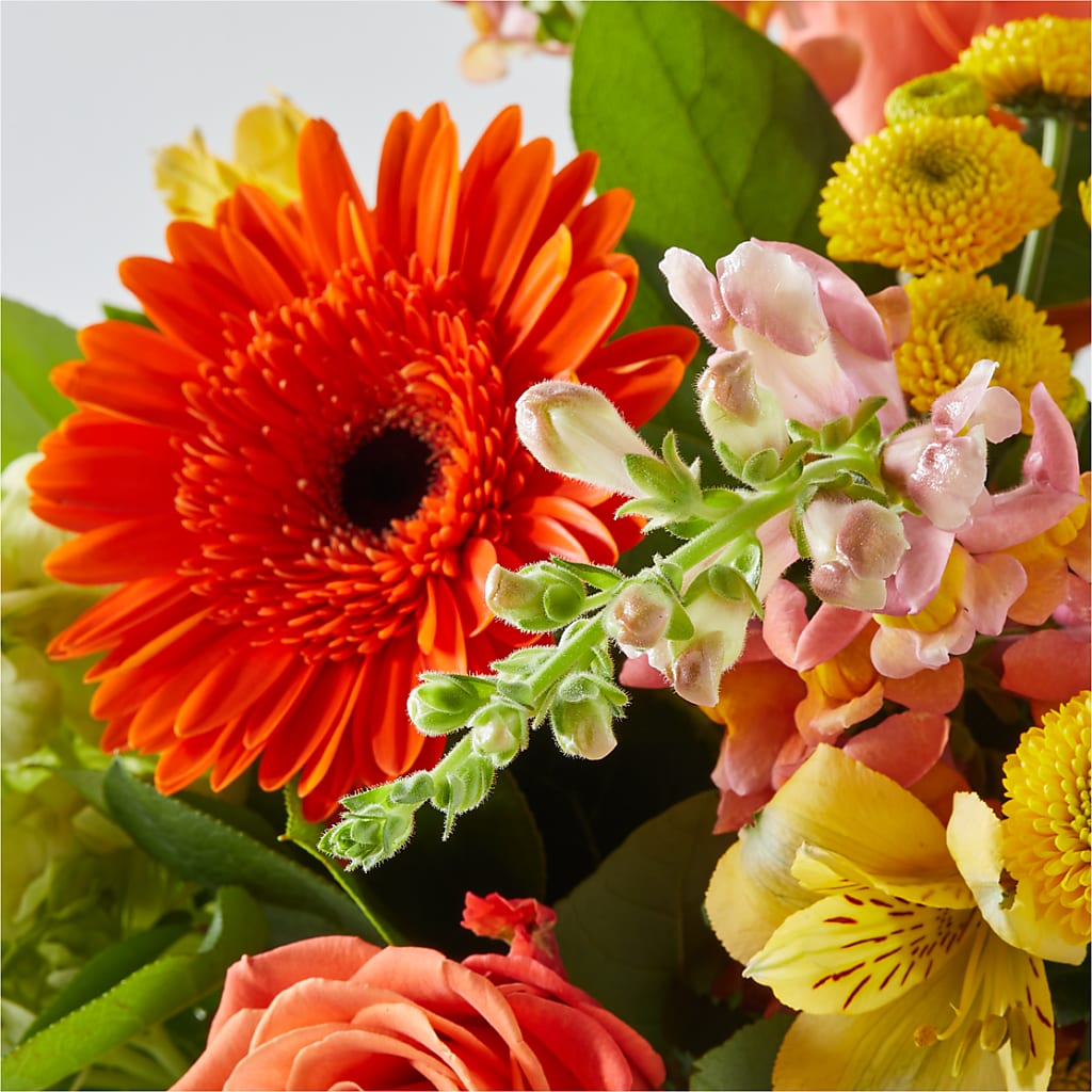 Autumn Sunshine Bouquet –  Central Market Florist #138, Latham NY
