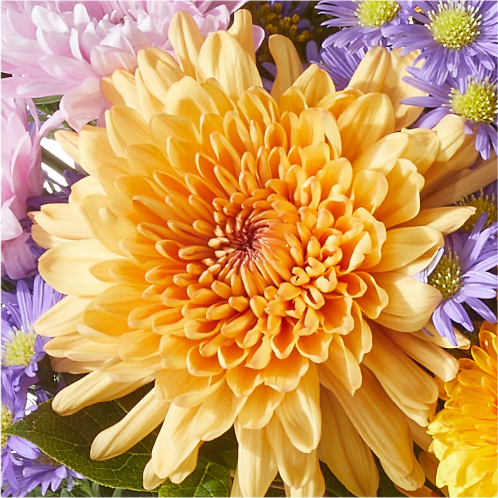 Countryside Bouquet –  Central Market Florist #138, Latham NY