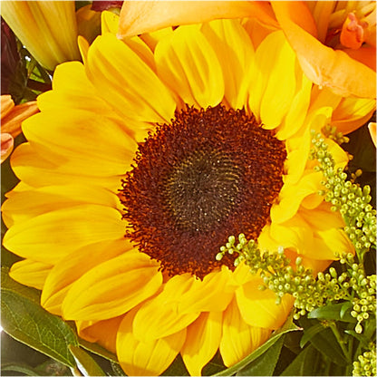 Seasons Change Bouquet –  Central Market Florist #138, Latham NY